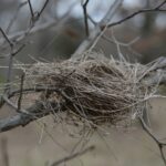 Σύνδρομο της άδειας φωλιάς: Τι είναι και πώς το ξεπερνά μια μητέρα